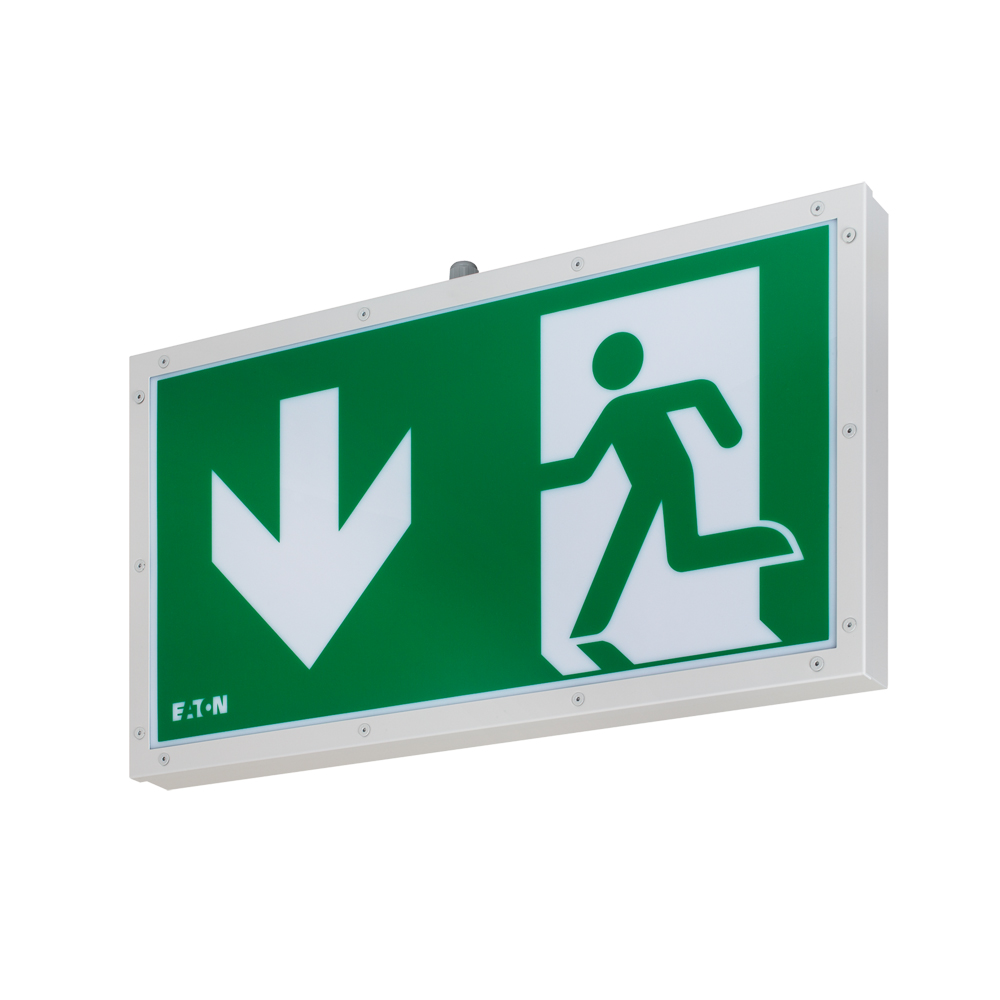 Exit light. Exit light