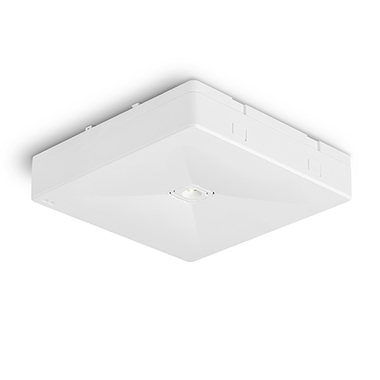 ONTEC R - M1