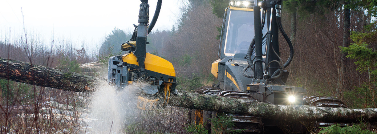 Utmaningar för dig som arbetar i skogen